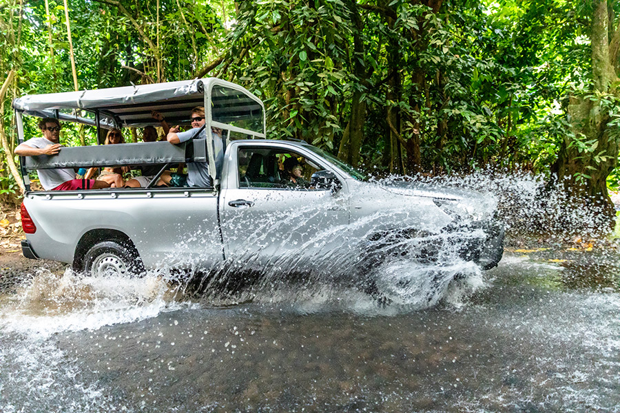 Safari 4x4 dans la nature de Moorea